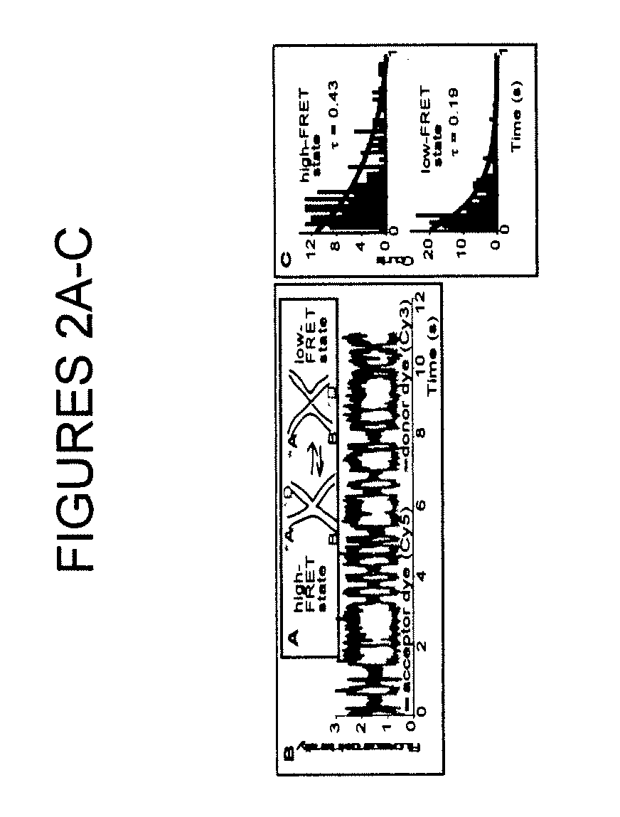 Nucleosome-based biosensor