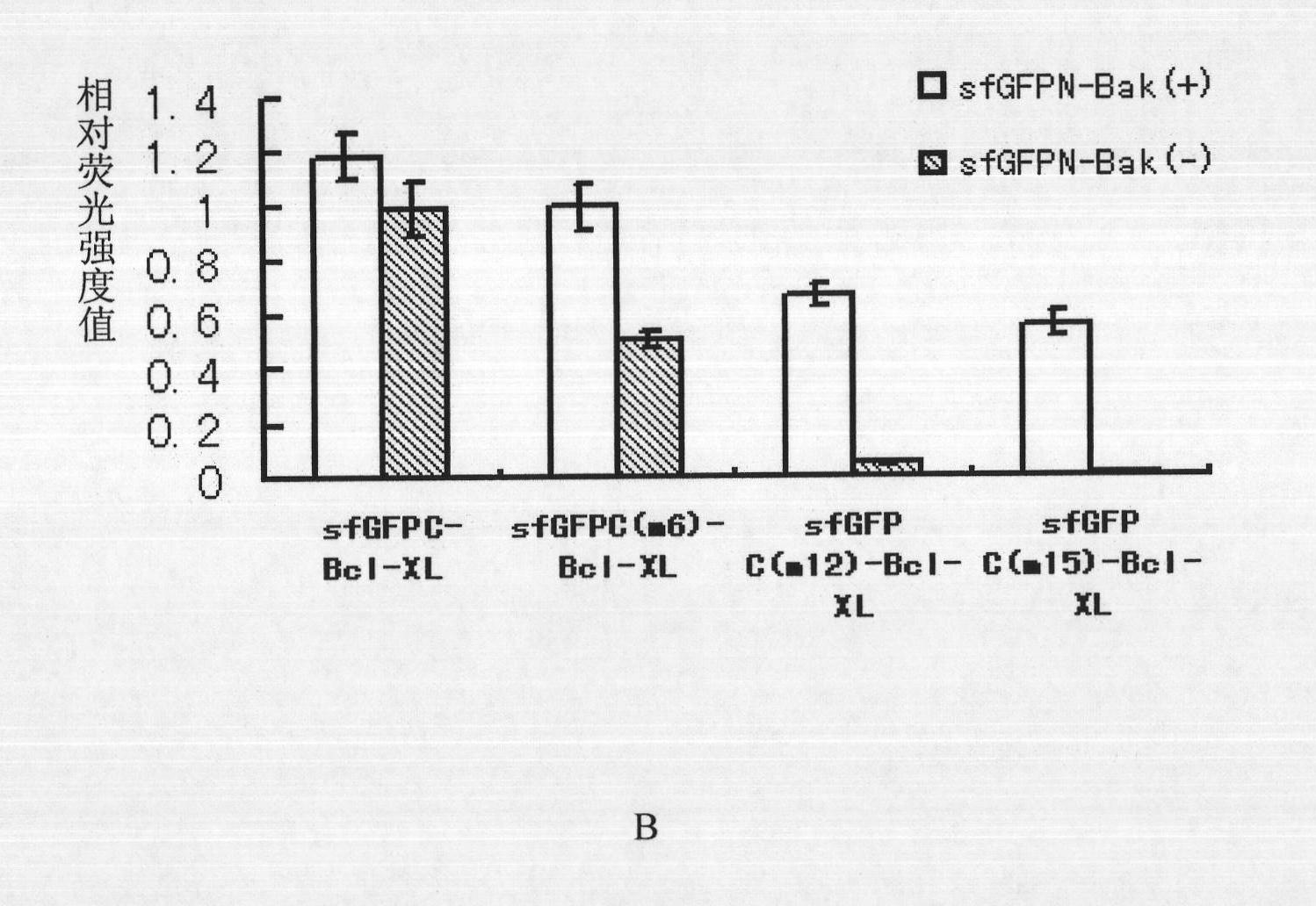 Fluorescence complementary system based on green fluorescent protein sfGFP