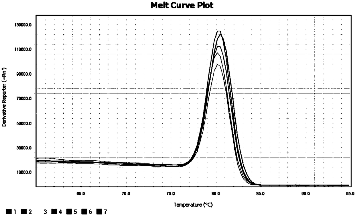 CVA2 specific primer, real-time fluorescence detection kit and use of real-time fluorescence detection kit
