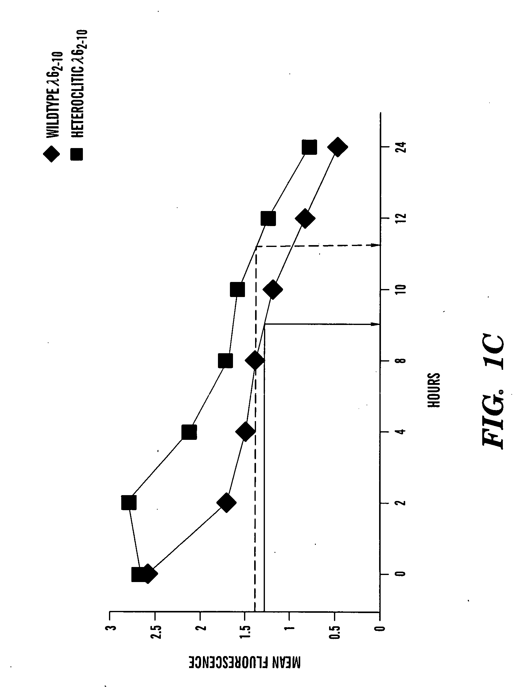 Multiple myeloma and al amyloid immunotherapy targeting immunoglobulin light chains and uses thereof