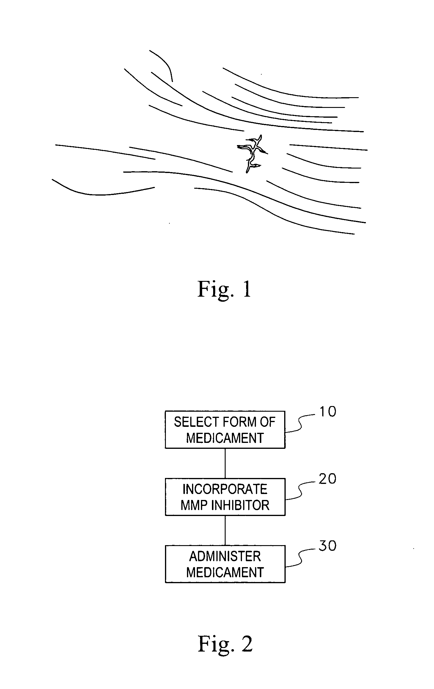 Methods, systems and reagents for tendon and ligament therapy