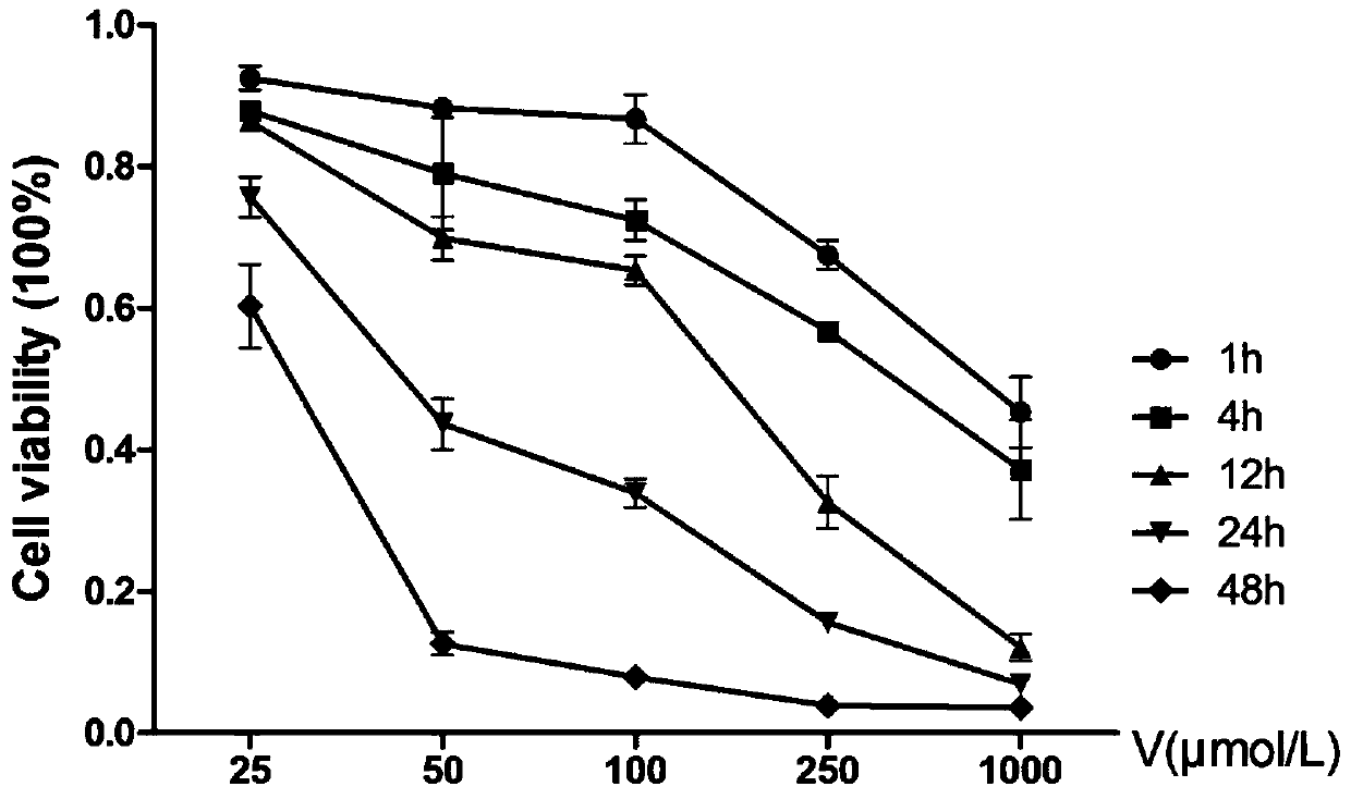 The method of culture and oxidative stress model establishment of epithelial cells of oviduct enlargement of laying hens