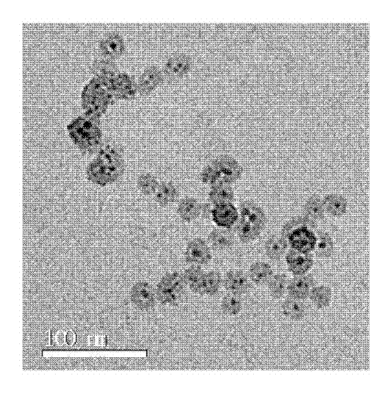 Preparation and application of Fe-Gd double-mode magnetic resonance contrast agent with targeting function