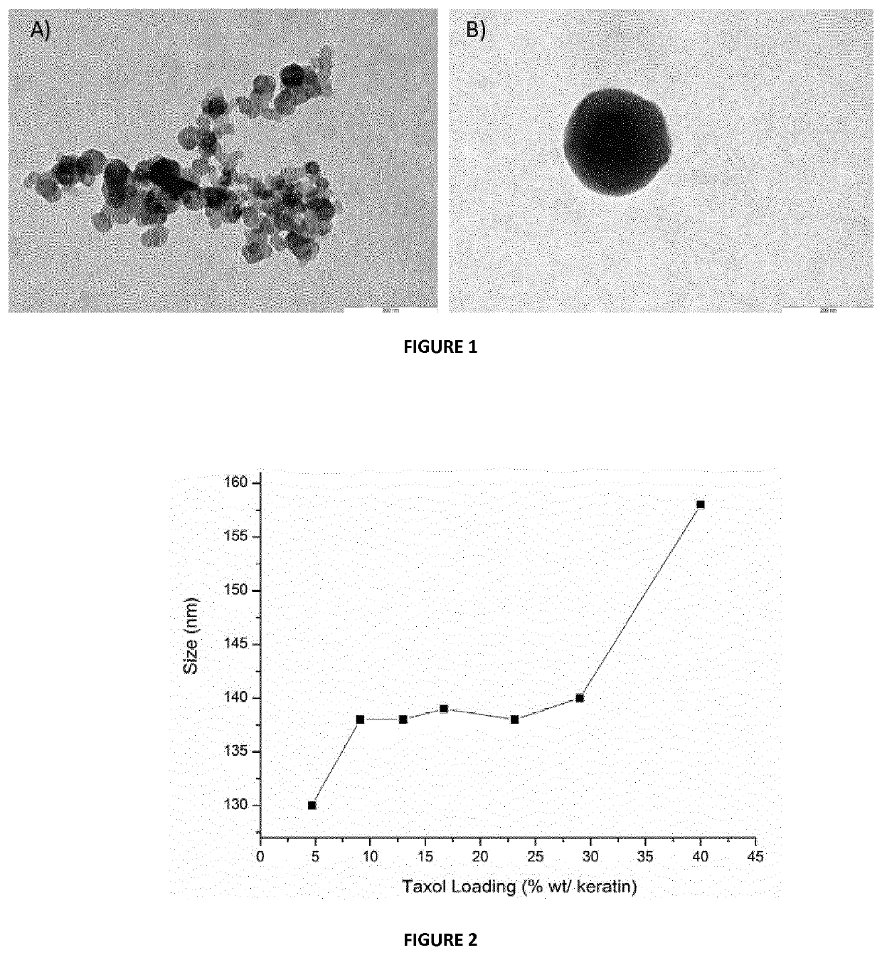 Nanoparticles as delivery vehicles of active ingredients and methods for the production thereof