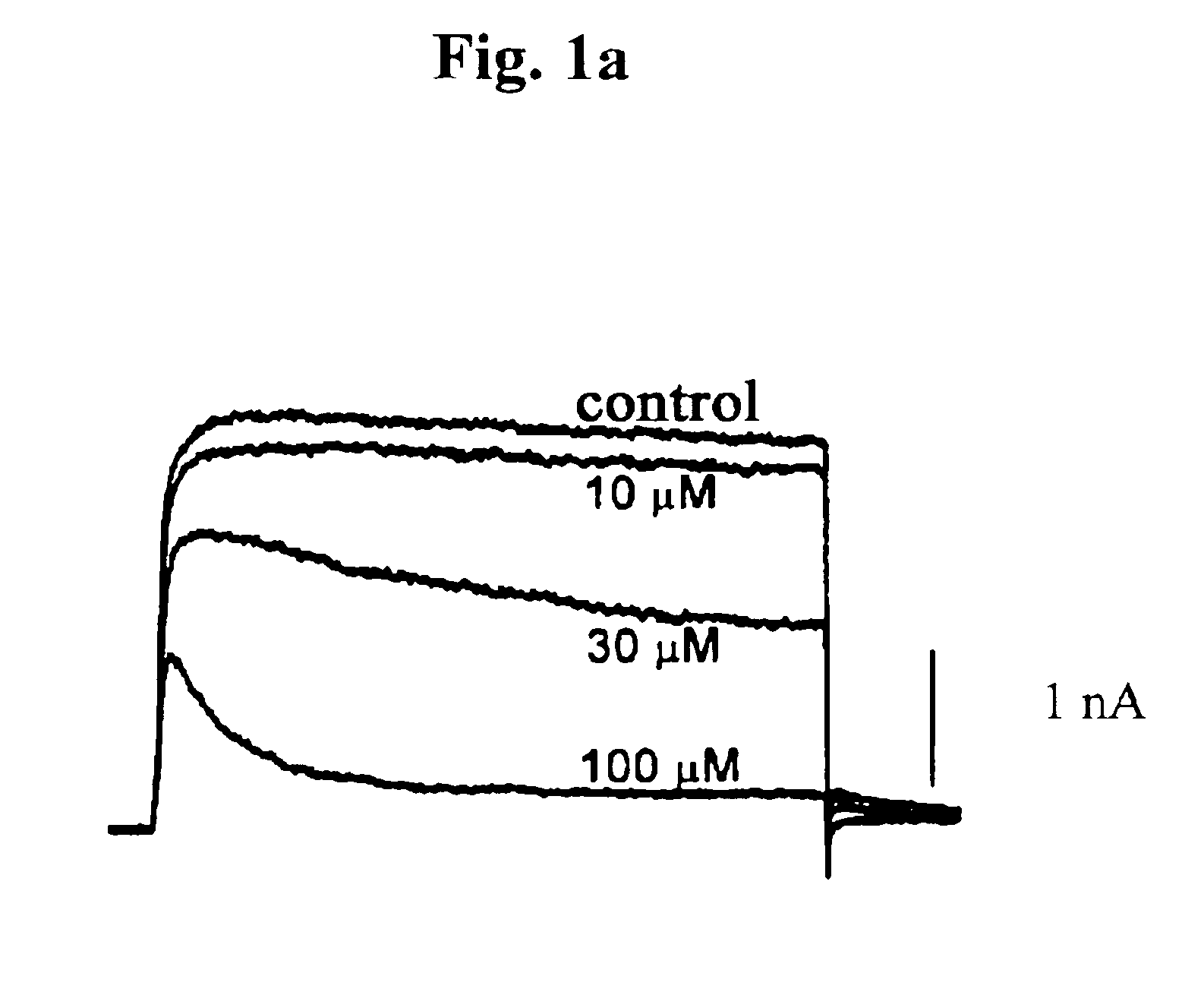 Pharmaceutical compositions comprising chelidonine or derivatives thereof