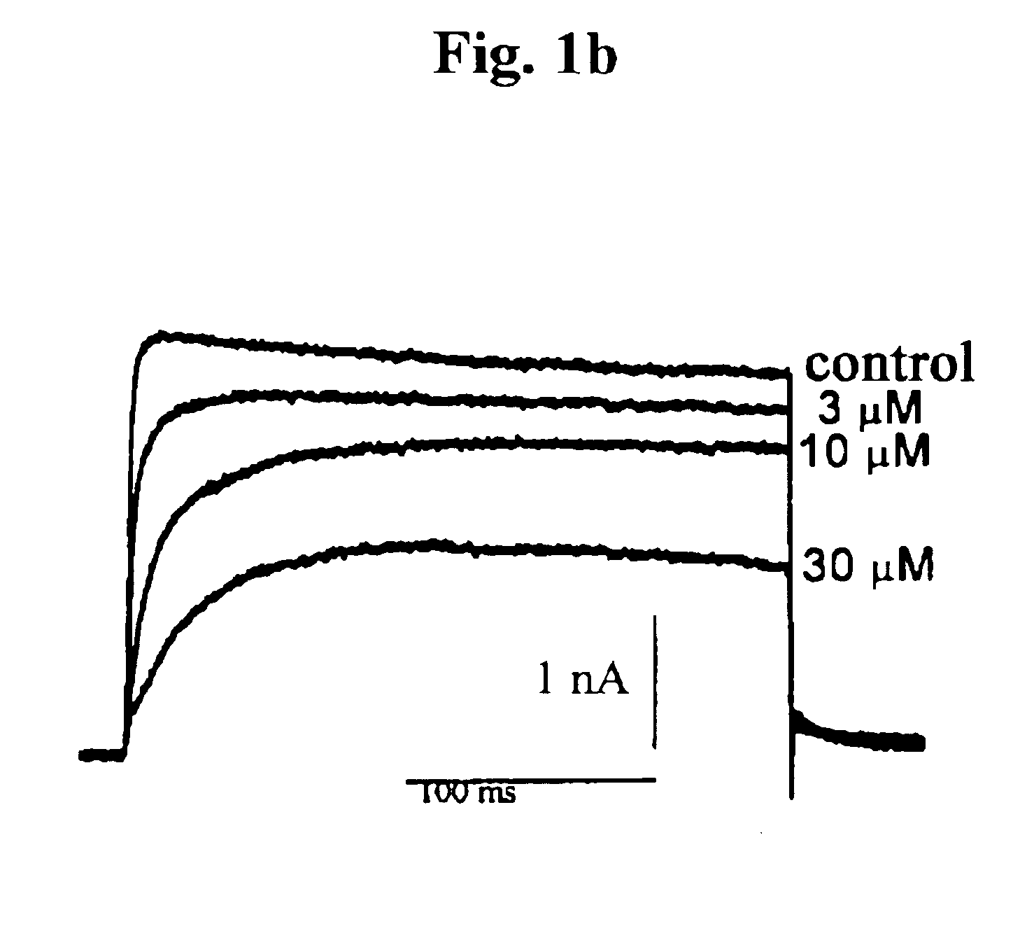 Pharmaceutical compositions comprising chelidonine or derivatives thereof