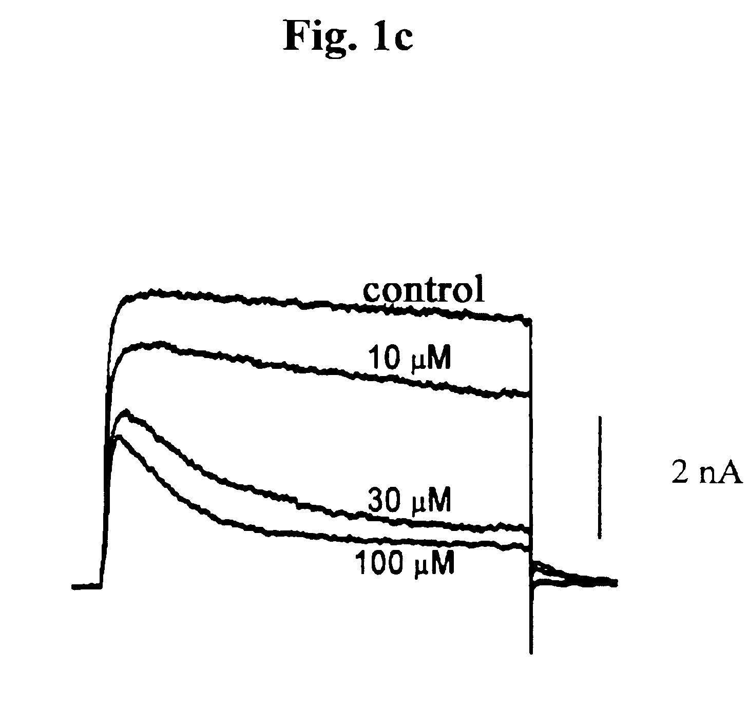 Pharmaceutical compositions comprising chelidonine or derivatives thereof