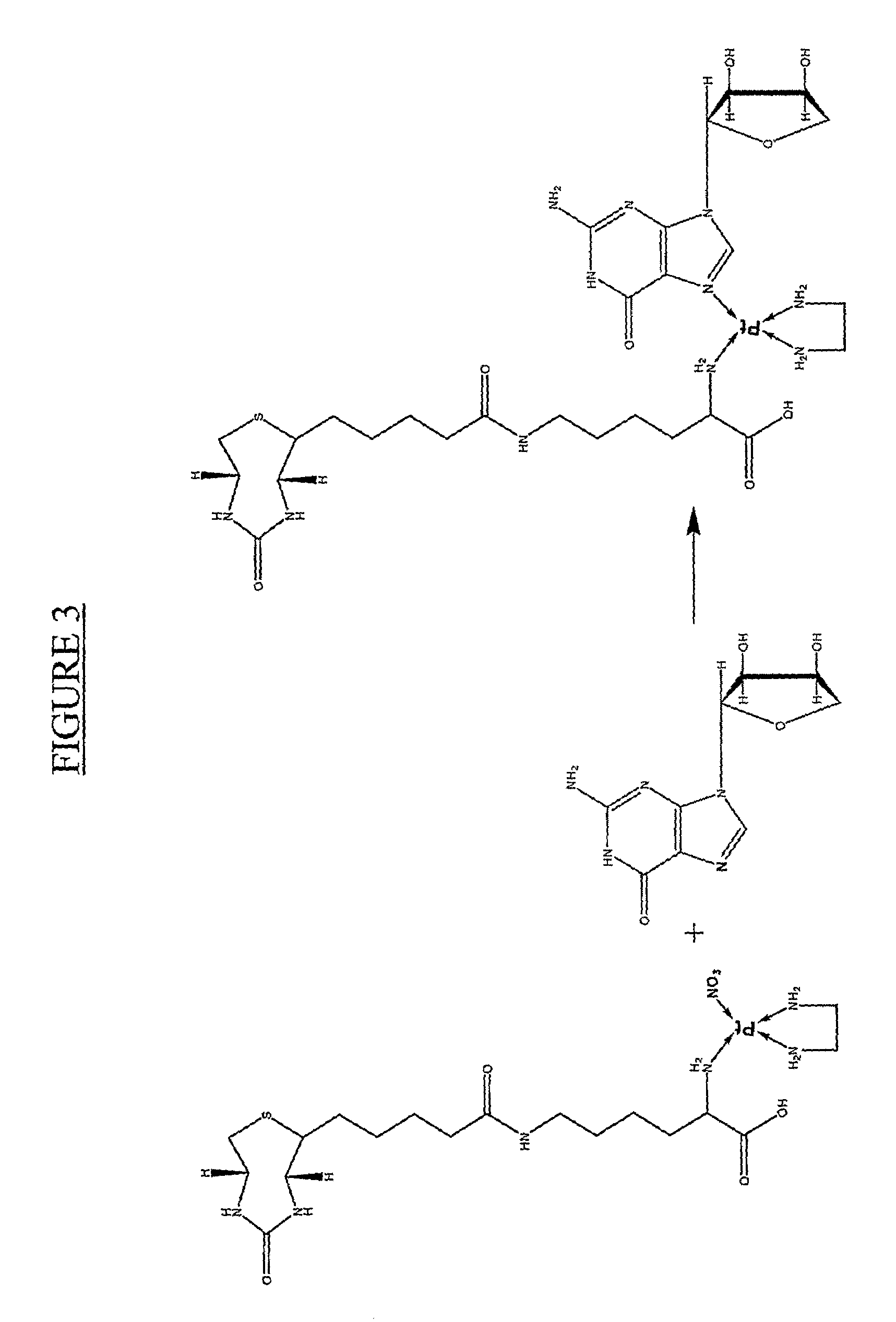 Method and device for detection of nucleic acids and/or polypeptides