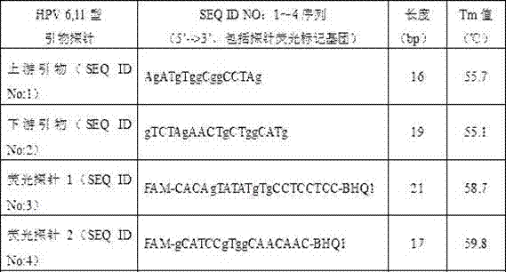 High-sensitivity human papilloma virus 6,11 type nucleic acid test kit