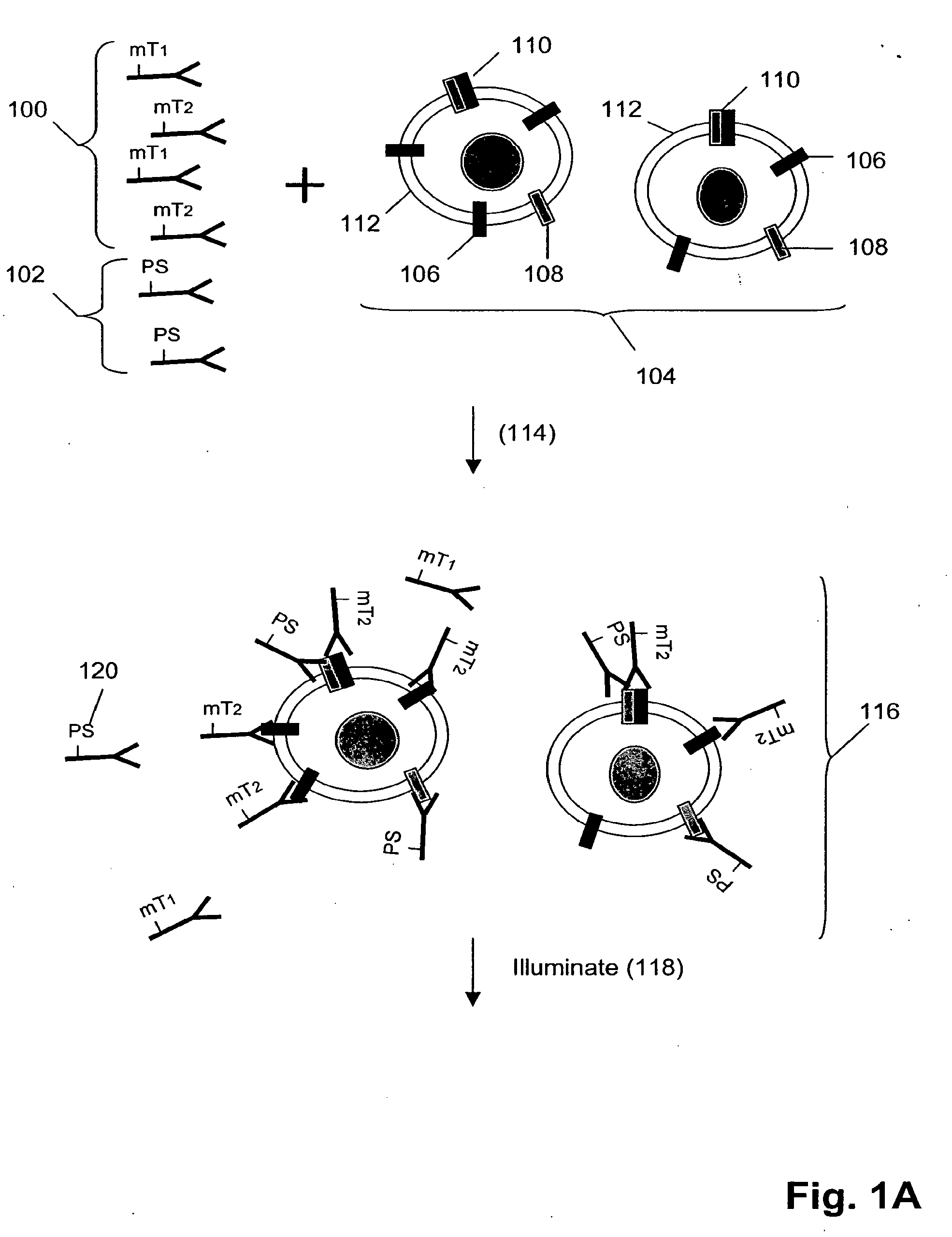 Surface Receptor Complexes as Biomarkers