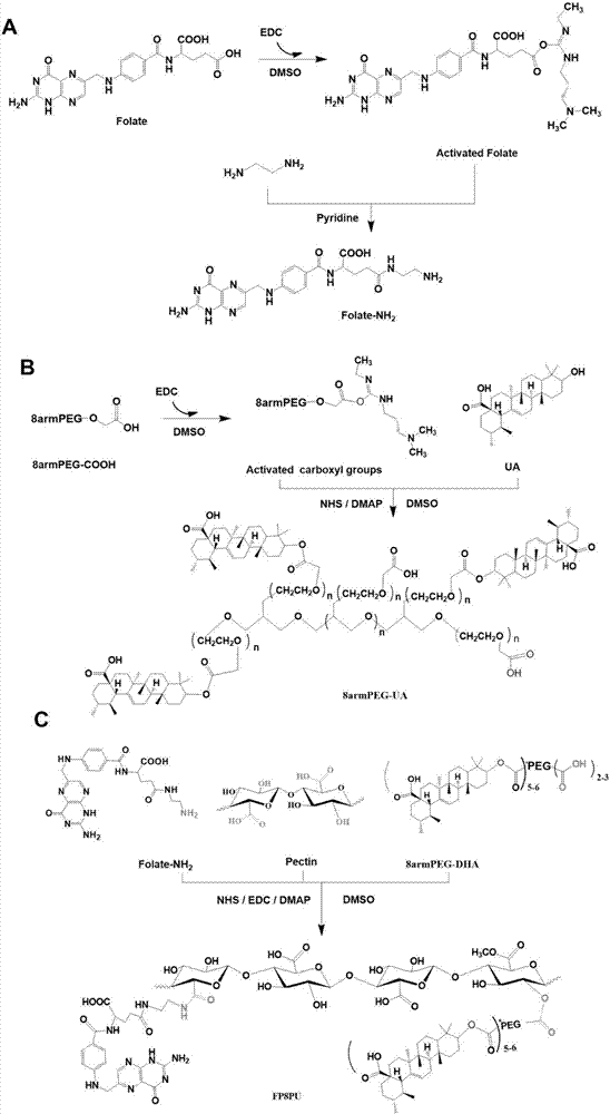 Dual-targeting delivery method of pectin nanoparticles modified by folic acid