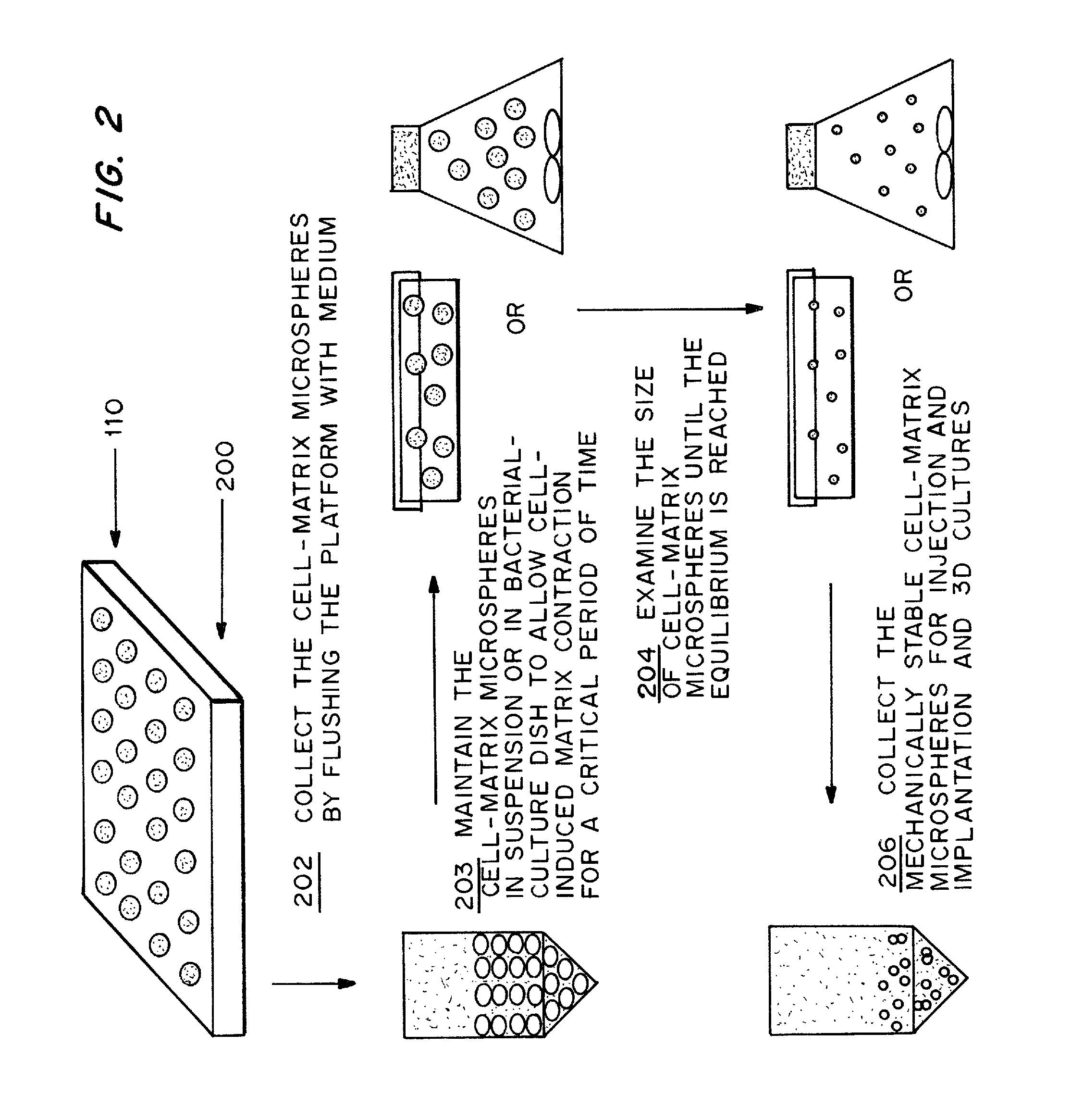 Cell-matrix microspheres, methods for preparation and applications