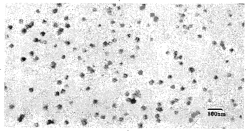 Hirudin albumin nanoparticles and preparation method thereof
