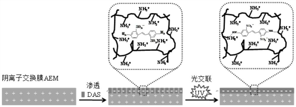 A kind of preparation method of anion exchange membrane with mono-multivalent selective separation function
