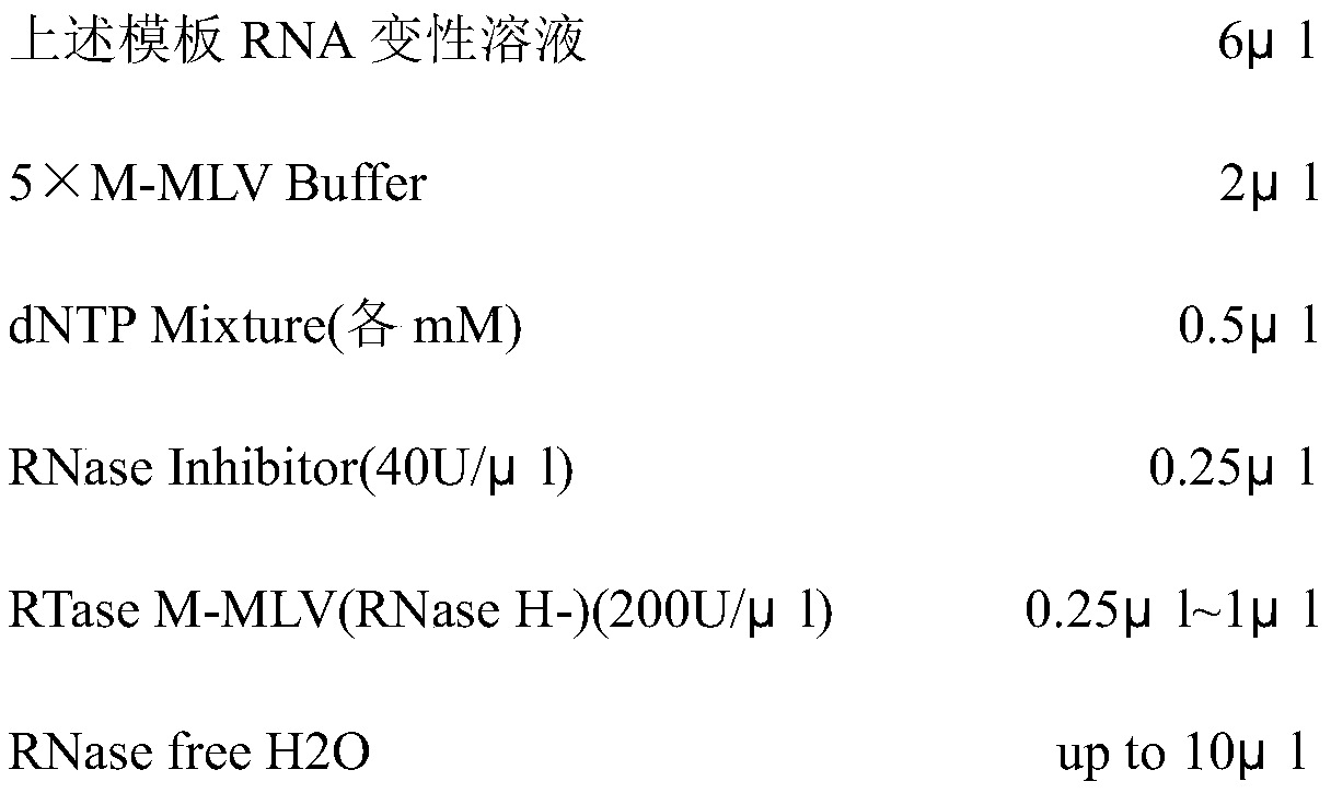 Preparation method and application of attenuated goose astrovirus