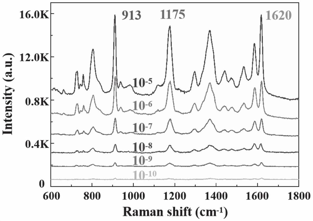 Multi-stage cavity Raman substrate and preparation method and application thereof