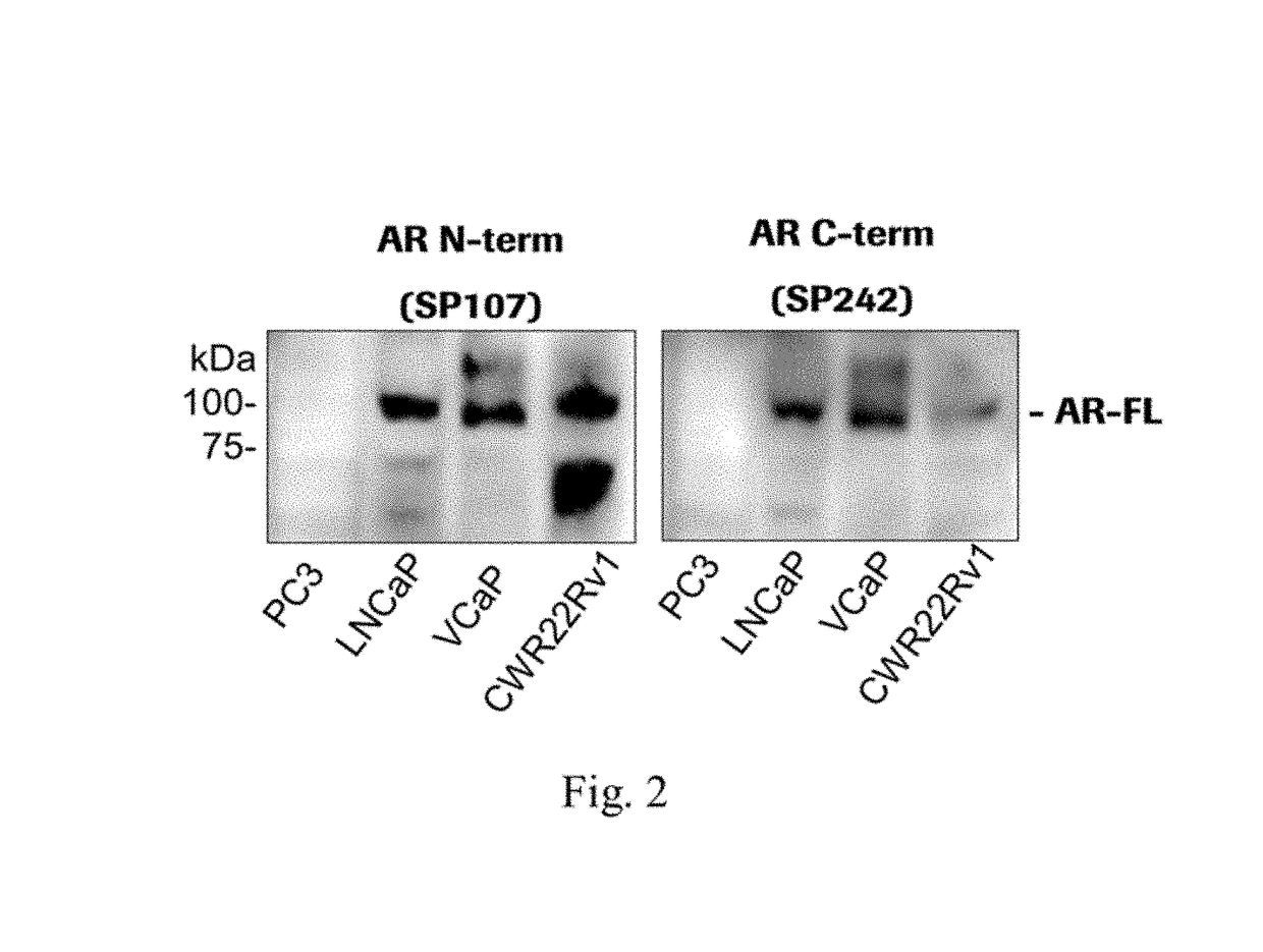 Materials and methods for detecting androgen receptor splice variants and uses thereof