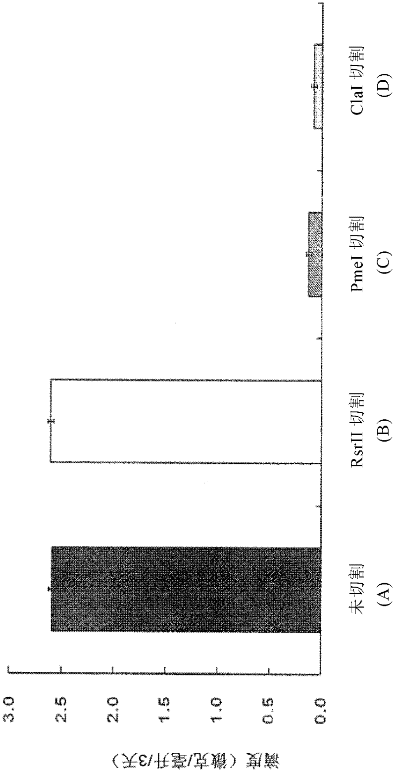 Method for selecting a high expression recombinant cell line