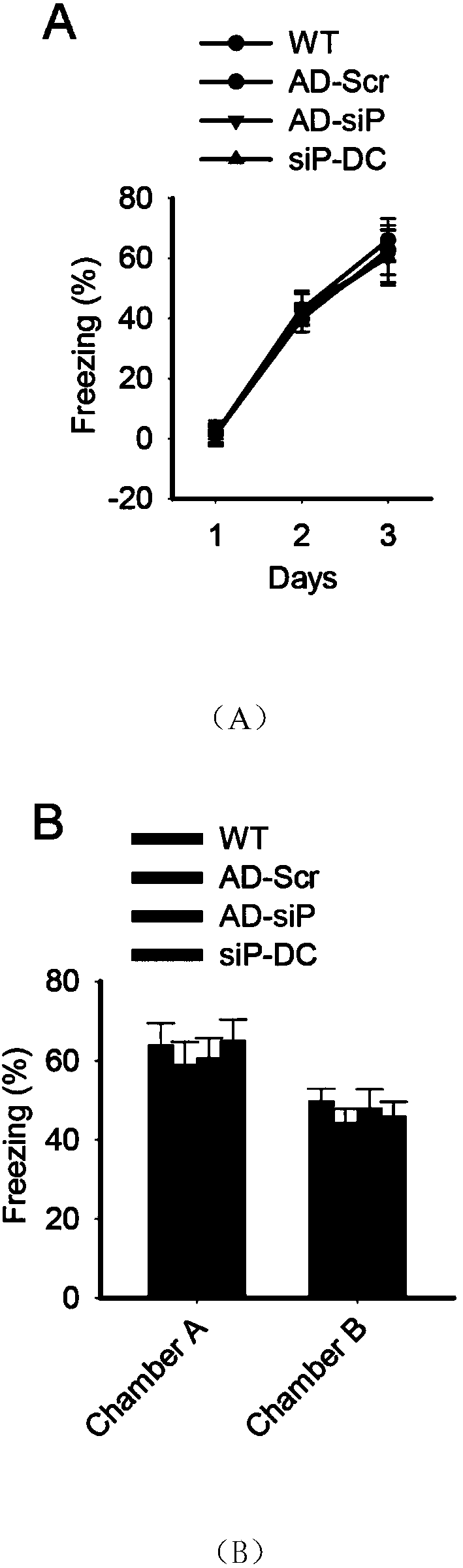 Brain-penetrating polypeptide and application thereof in preparation of medicament for preventing and treating Alzheimer's disease