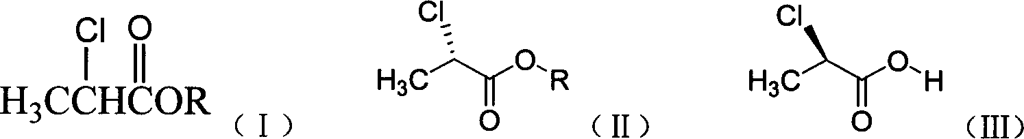 Method of preparing (S)-(-)-2-chloropropionate and (R)-(+)-2-chloro propionic acid