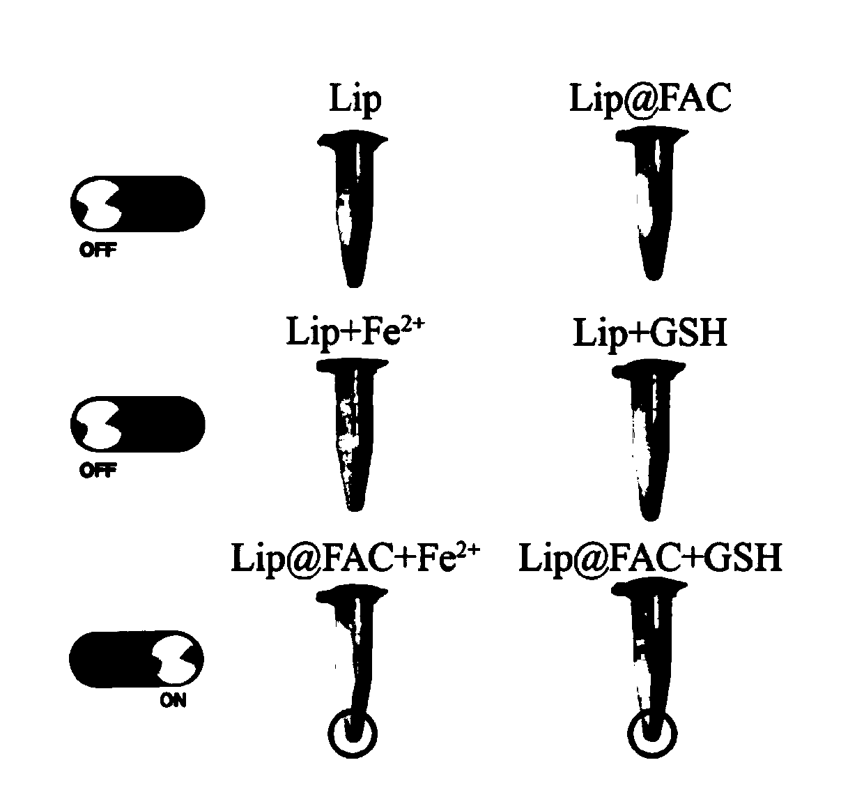 Lipid peroxide generator and preparation method and application of lipidosome
