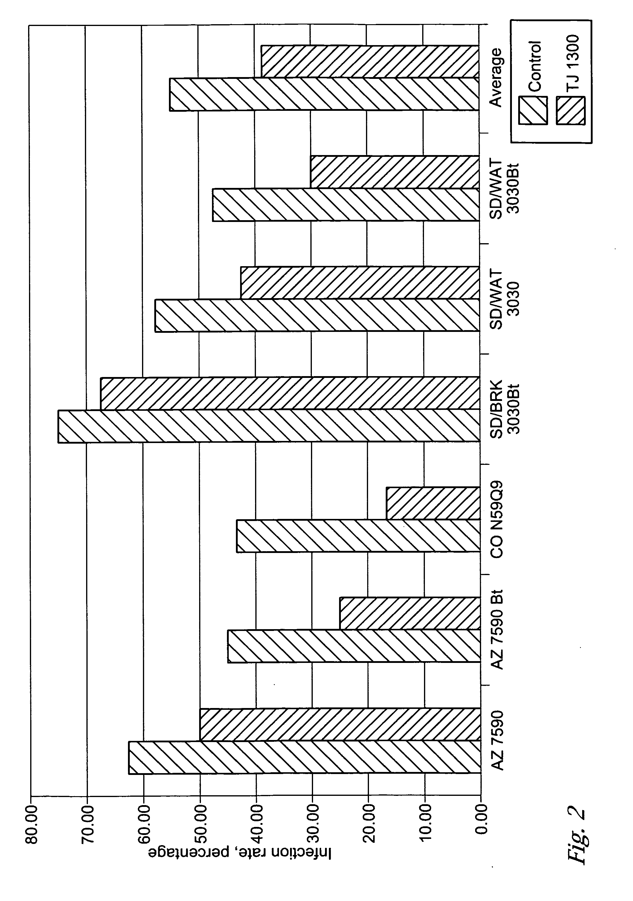 Plant seed assemblies comprising bacterial/fungal antagonists