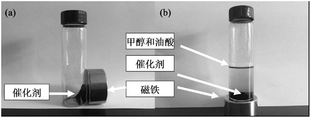 Carbon-based magnetic solid acid catalyst and application thereof in preparing biodiesel