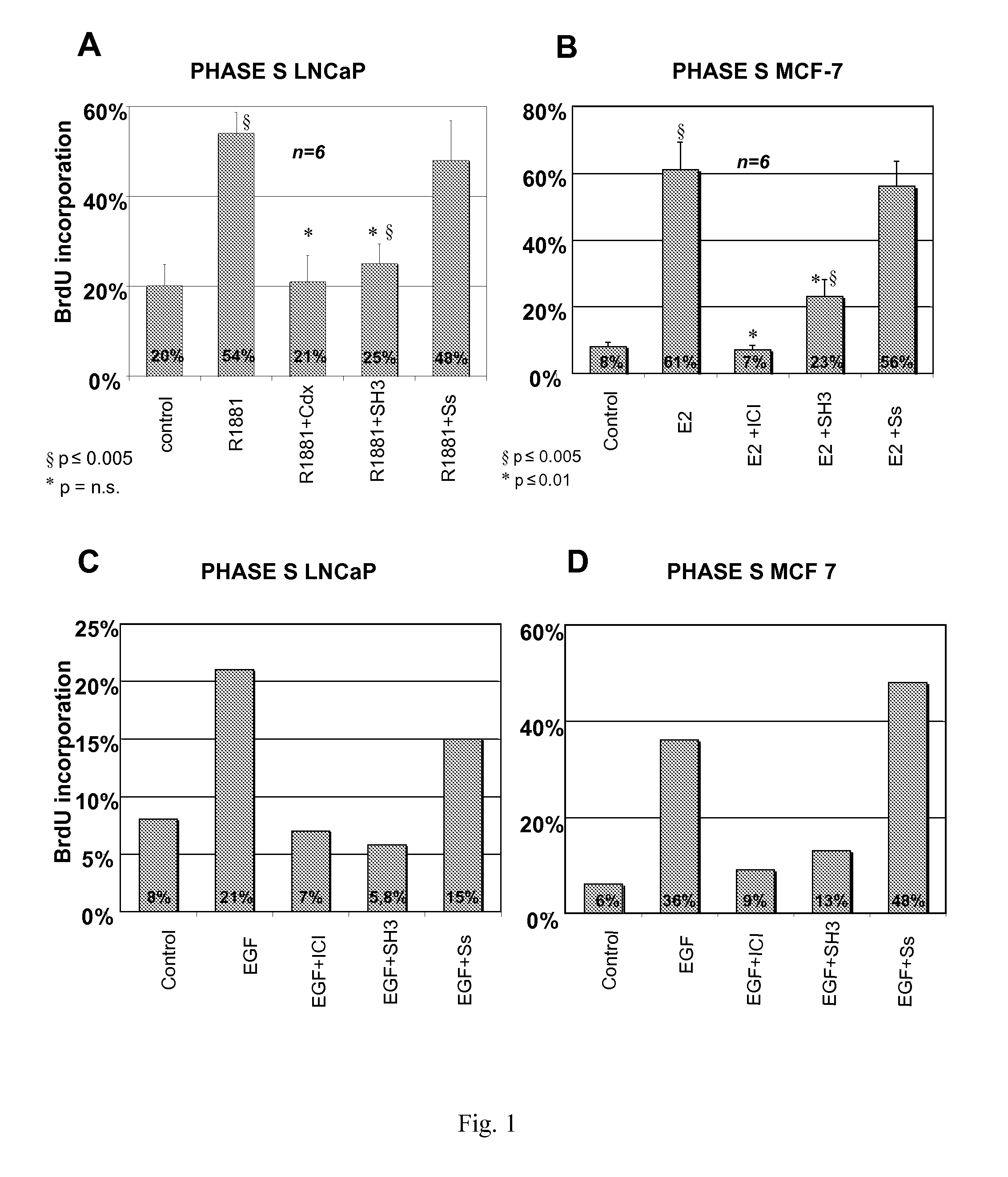 Anti-androgen peptides and uses thereof in cancer therapy