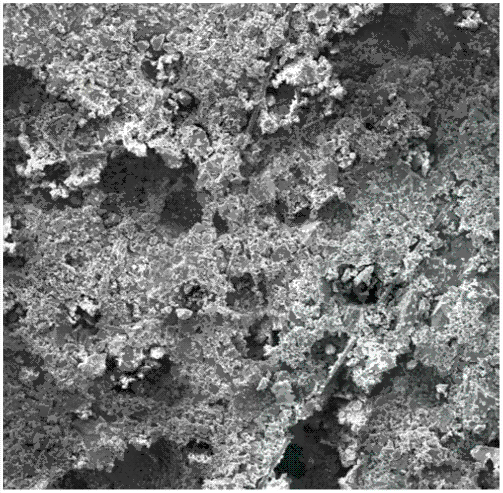 Steel bar anticorrosion coating and coating method thereof