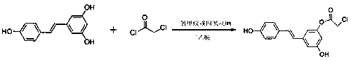 (E)-3-hydroxy-5-(hydroxystyryl)-2-phenyl chloroacetate compound and preparation method thereof