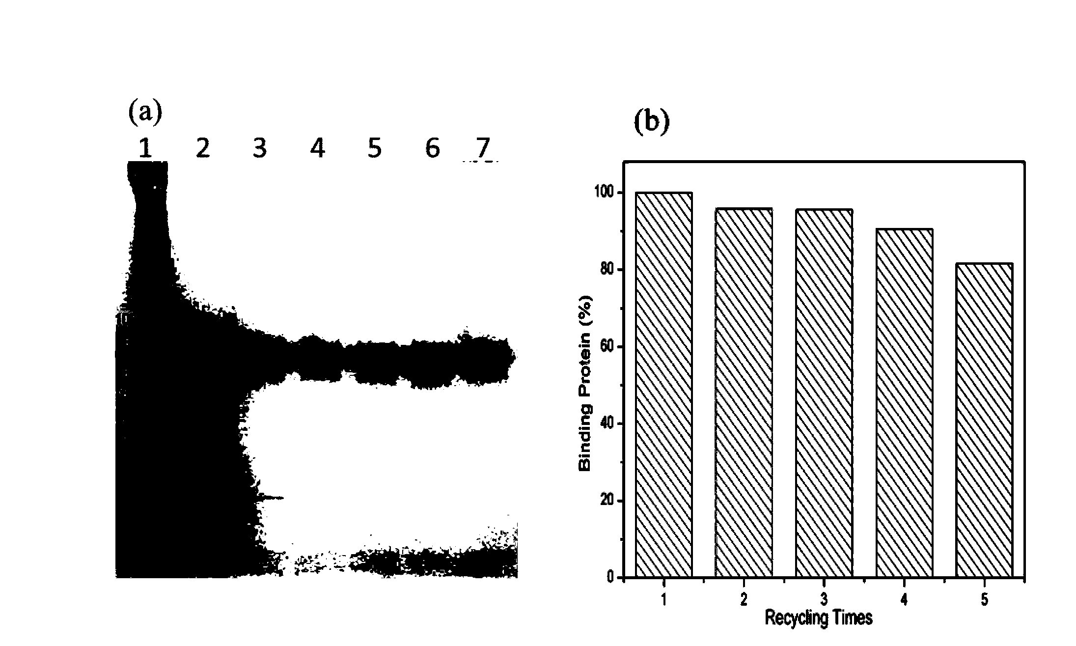 Core-shell type magnetic composite microsphere for separation and purification of recombinant proteins and preparation method thereof