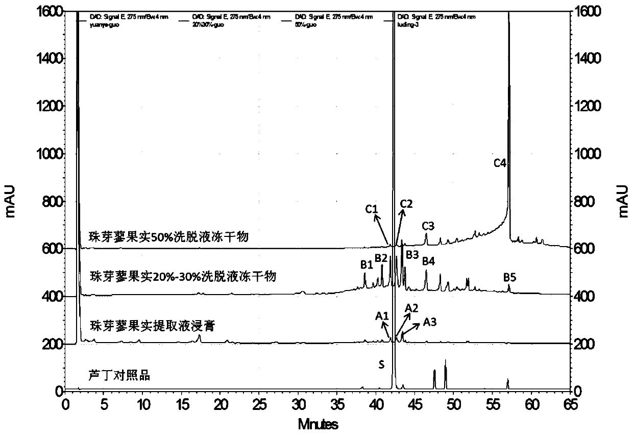 Polygonum viviparum extract and preparation method and application thereof