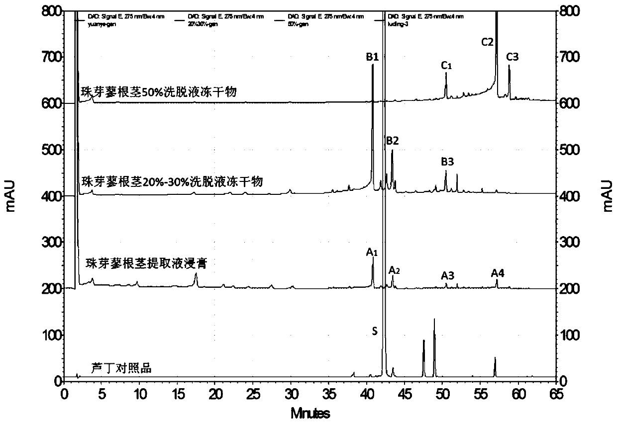 Polygonum viviparum extract and preparation method and application thereof