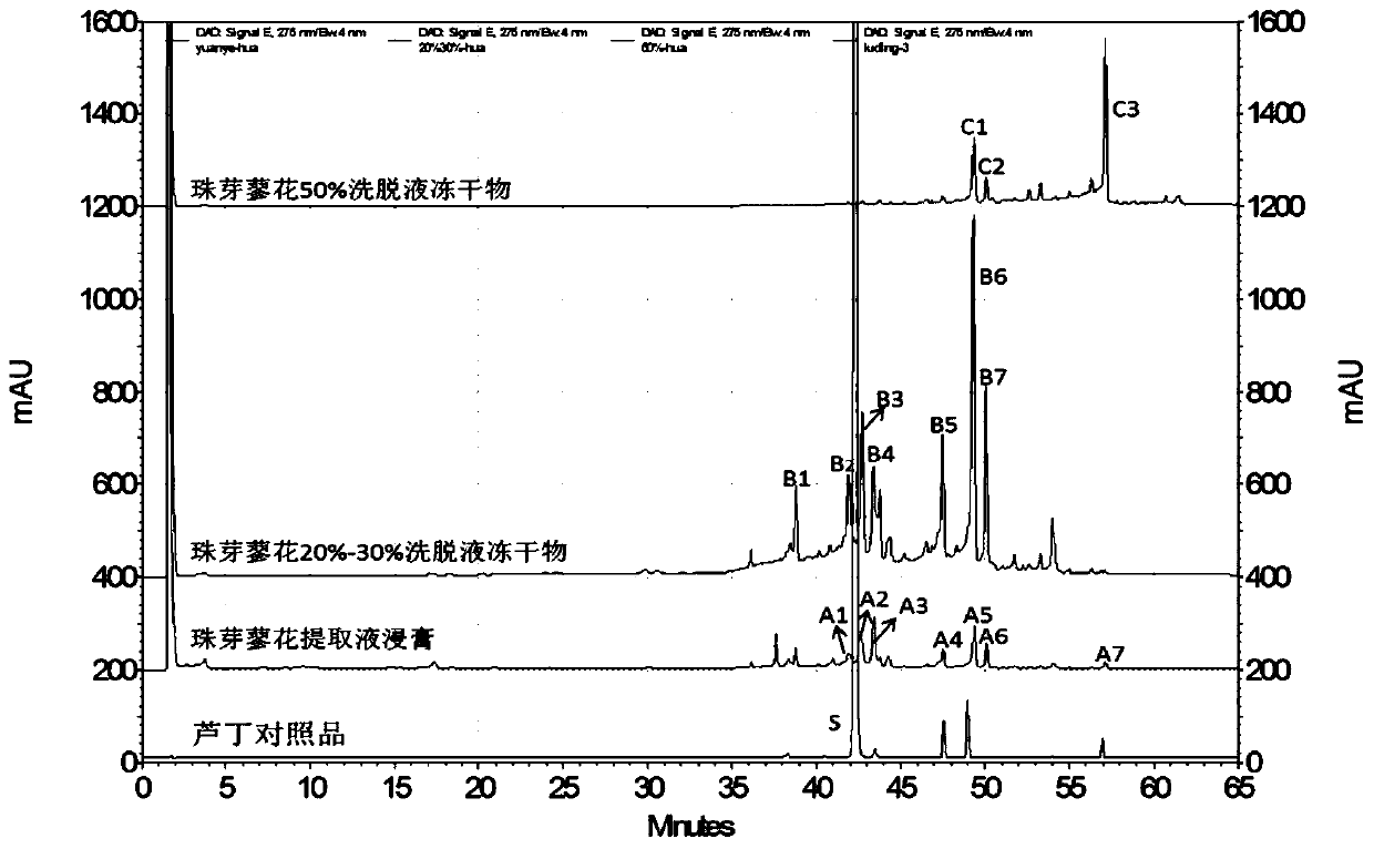 Polygonum viviparum extract and preparation method and application thereof