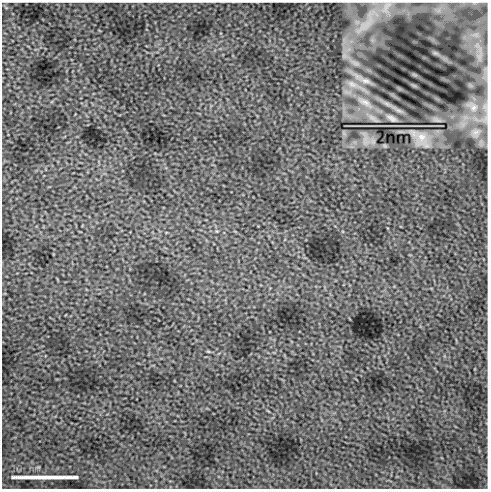 Method for preparing carbon quantum dots by using Enteromorpha