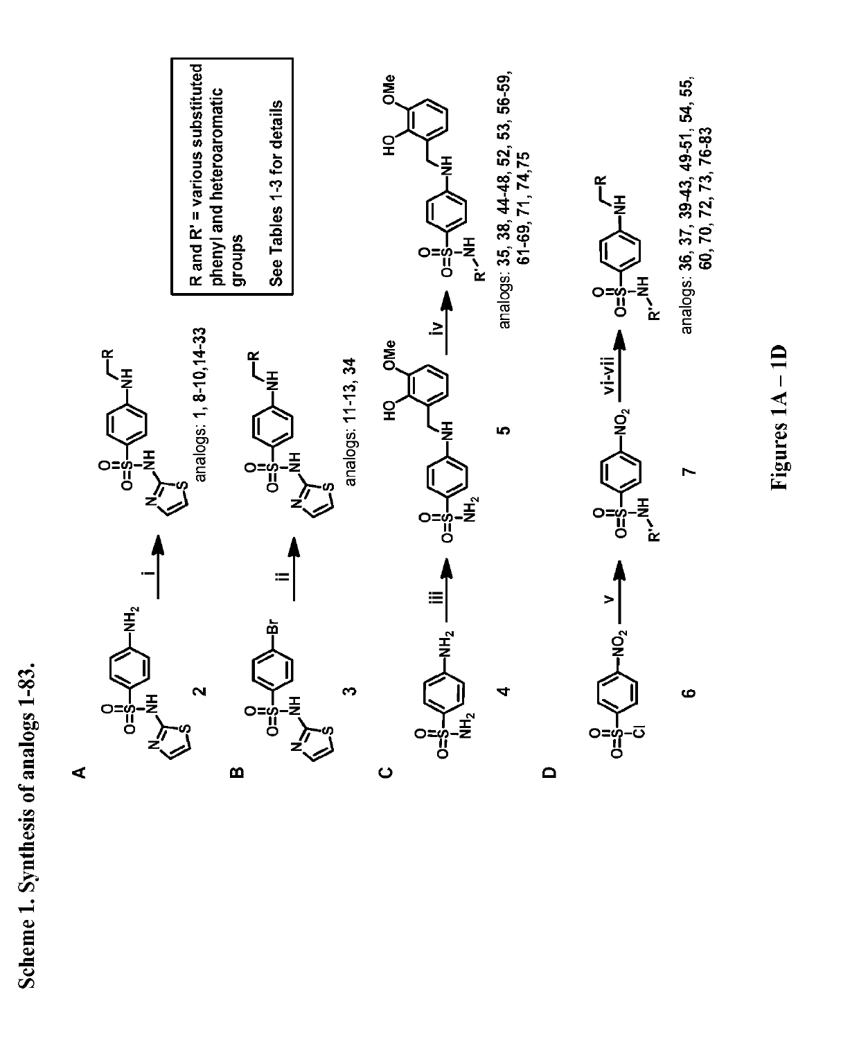 4-((2-hydroxy-3-methoxybenzyl)amino)benzenesulfonamide derivatives as potent and selective inhibitors of 12-lipoxygenase