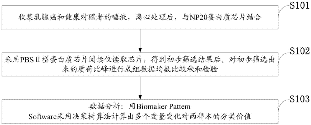 Breast cancer early stage diagnosis sialoprotein fingerprint model and construction method thereof