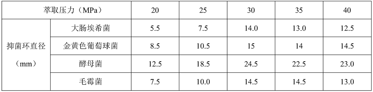 Neem leaf extract as well as preparation process and application thereof