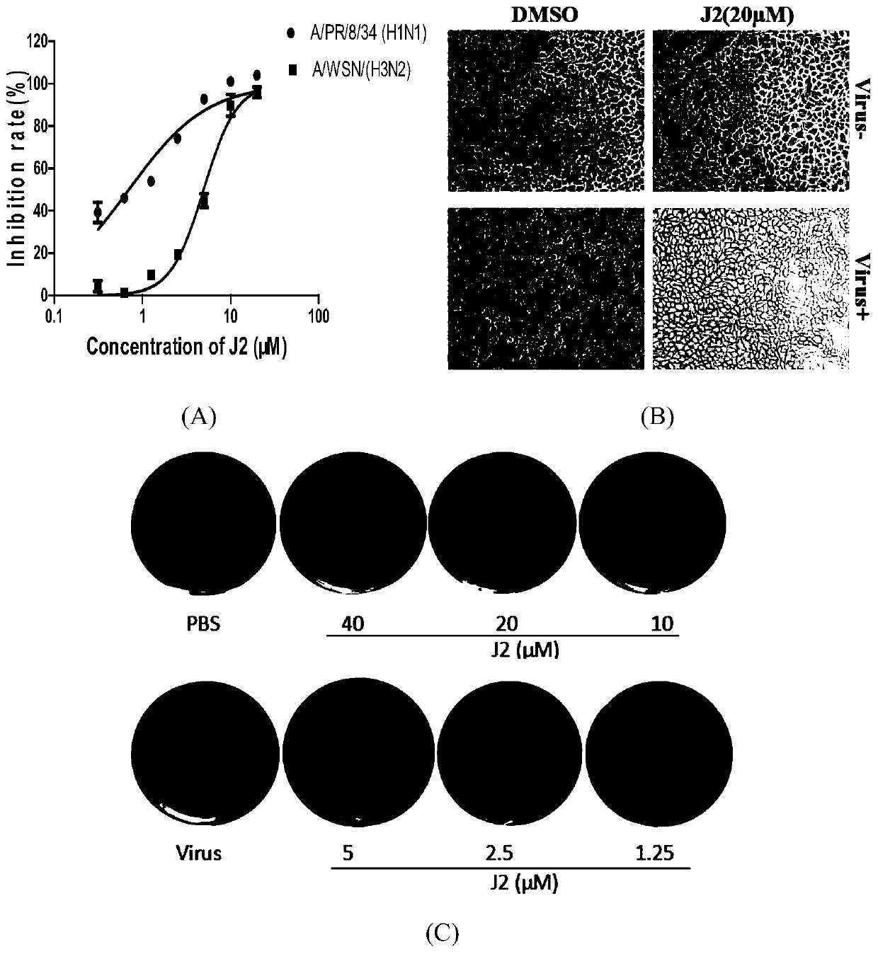 Application of 1,3-dihydroxy-6-benzo[c]chromenone in the preparation of anti-influenza virus drugs