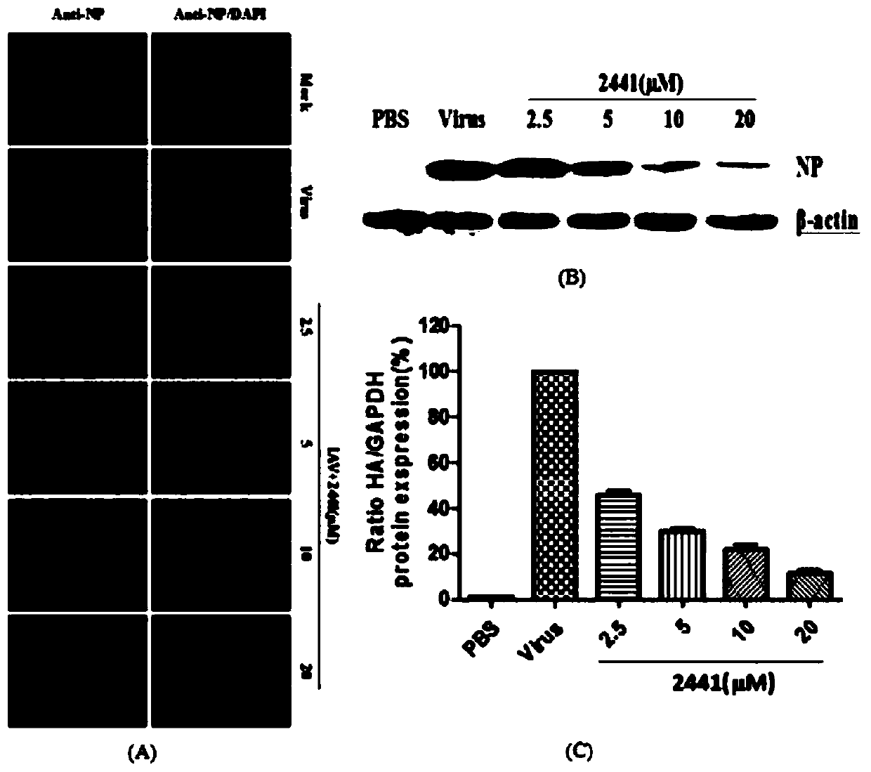 Application of 1,3-dihydroxy-6-benzo[c]chromenone in the preparation of anti-influenza virus drugs