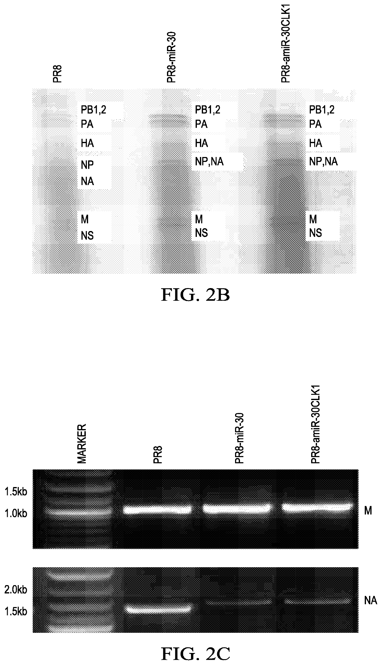 Self-attenuated prophylactic and therapeutic vaccines against pathogens