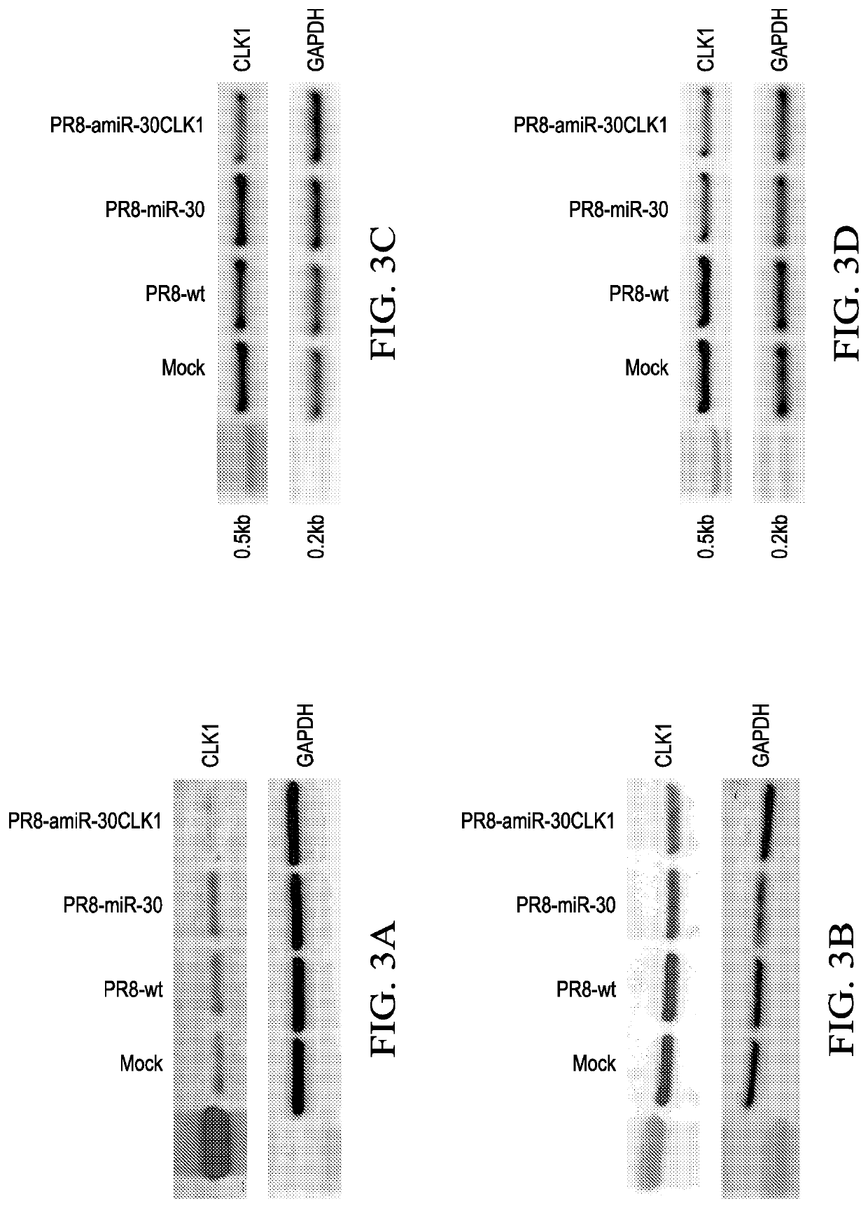 Self-attenuated prophylactic and therapeutic vaccines against pathogens