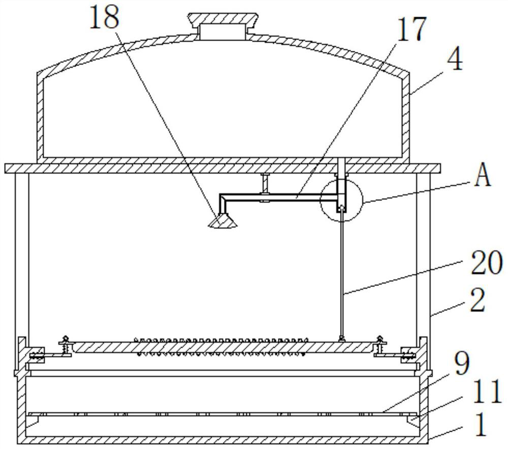 Automatic water supply bathing device for adult parrots