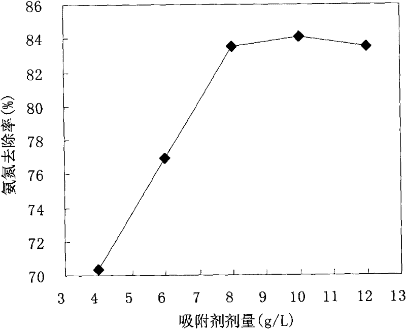 Preparation method of ammonia nitrogen adsorbent by utilizing southern magnolia and application of adsorbent
