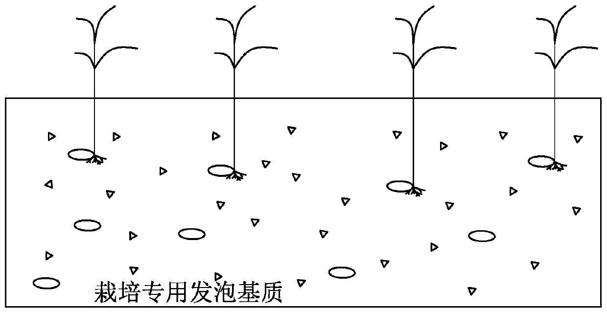 Preparation method of foam base material special for cultivation and cultivation method