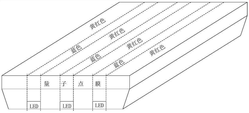 Quantum dot film and light emitting module