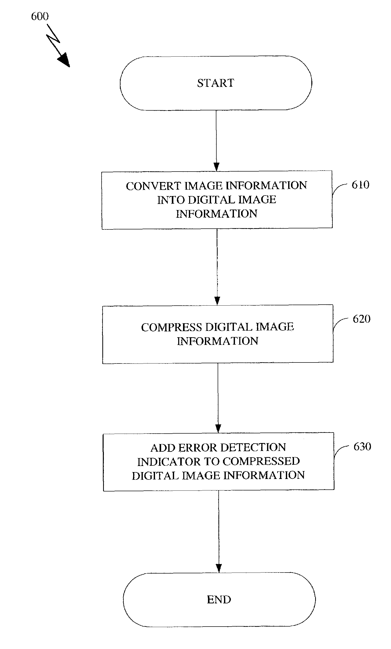 Apparatus and method for detecting error in a digital image