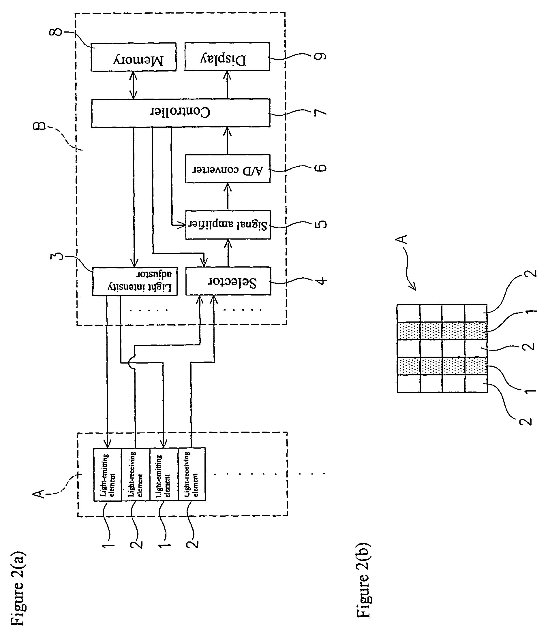 Apparatus for evaluating biological function