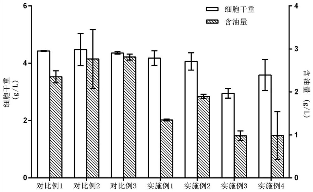 Method for preparing 1-oleic acid-2-palmitic acid-3-linoleic acid triglyceride by microbial fermentation