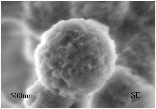 Preparation method of mesoporous cobalt-system carbon-silicon nanosphere Fenton catalyst and mesoporous cobalt-system carbon-silicon nanosphere Fenton catalyst and application thereof